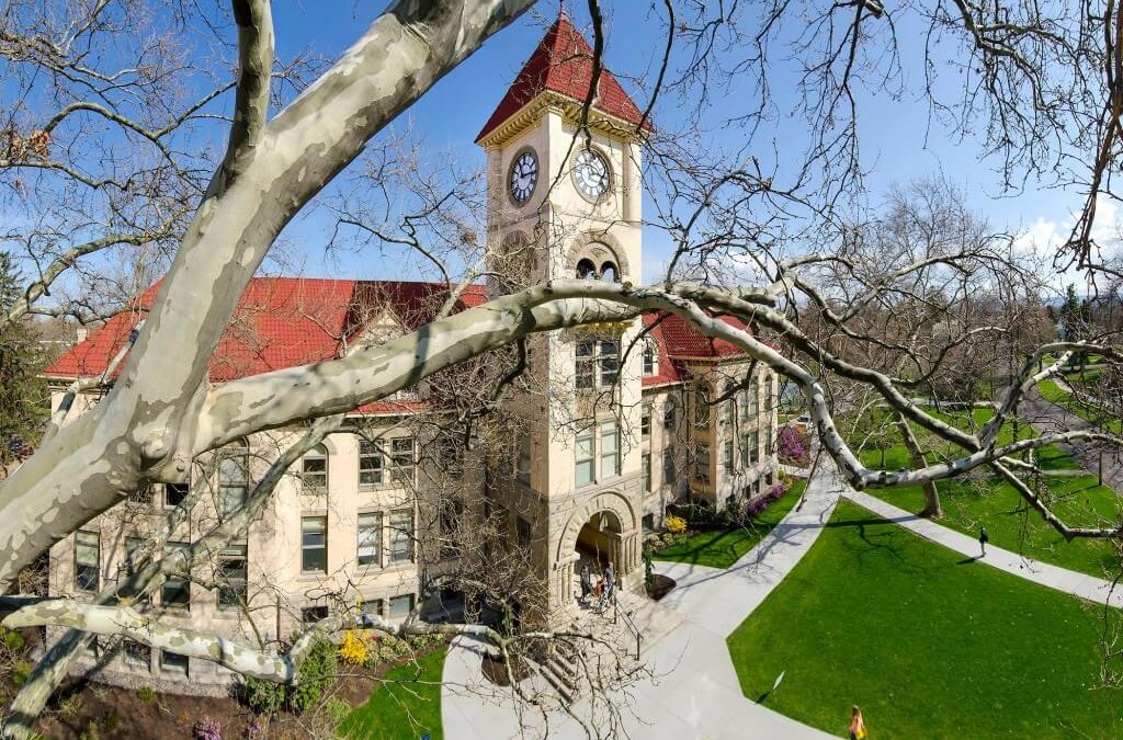 Issue 21: Is test optional truly optional? What to do with a medical leave in high school and your 3-minute summary of the top college admissions news this week