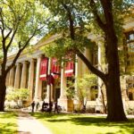 2020 Top Admits: Laila Nasher, Harvard '24