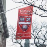 Admitted to Harvard, Cornell, and NYU! A Preview of 2022's Top Admits